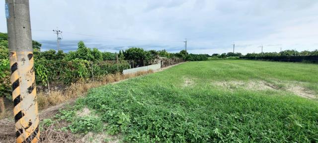 台南農地-10